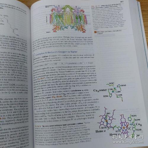 biochemistry eth,Biochemistry ETH: A Comprehensive Overview