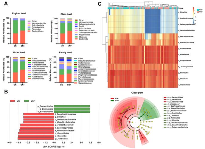 alzheimer eth research,Understanding Alzheimer’s Disease: A Comprehensive Eth Research Overview