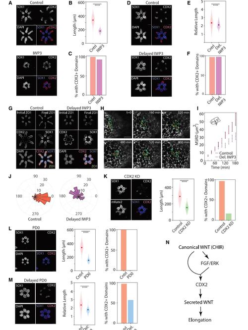 bioengineering eth,Bioengineering ETH: A Comprehensive Overview