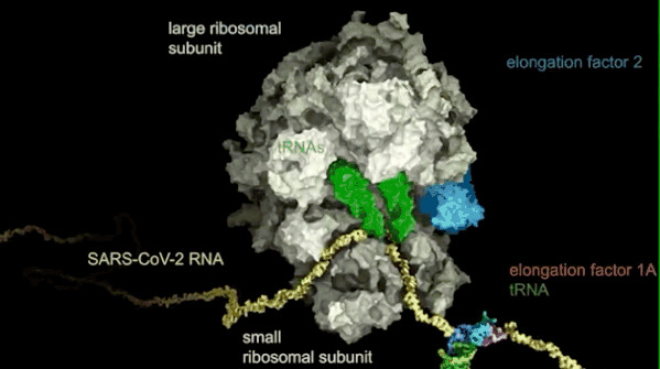 crowther lab eth,Crowther Lab ETH: A Deep Dive into Their Research and Impact