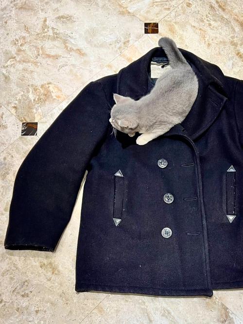 argentina eth wool pea coat green,History and Origin