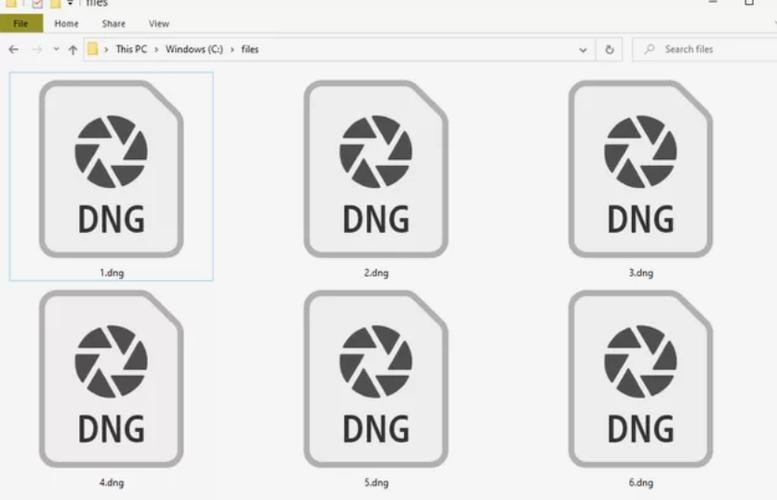 dng eth,DNG: The Universal Solution for Raw Image Storage