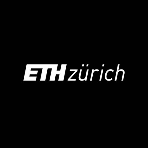 css eth zurich,History and Background