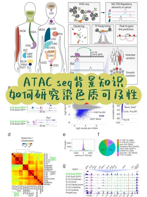 atac eth,Understanding the Basics of ETH