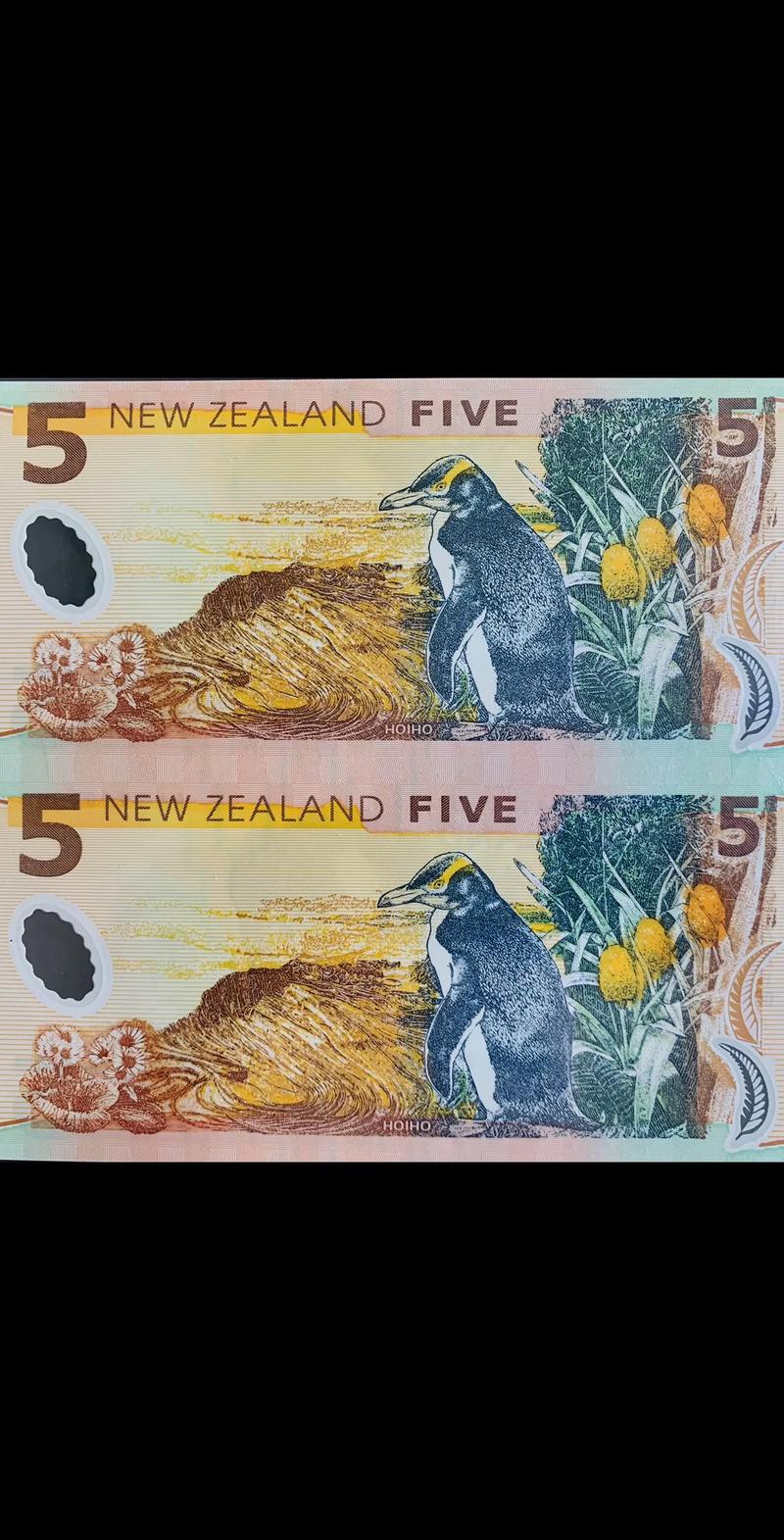 5 eth to nzd,Understanding the Exchange Rate: 5 ETH to NZD